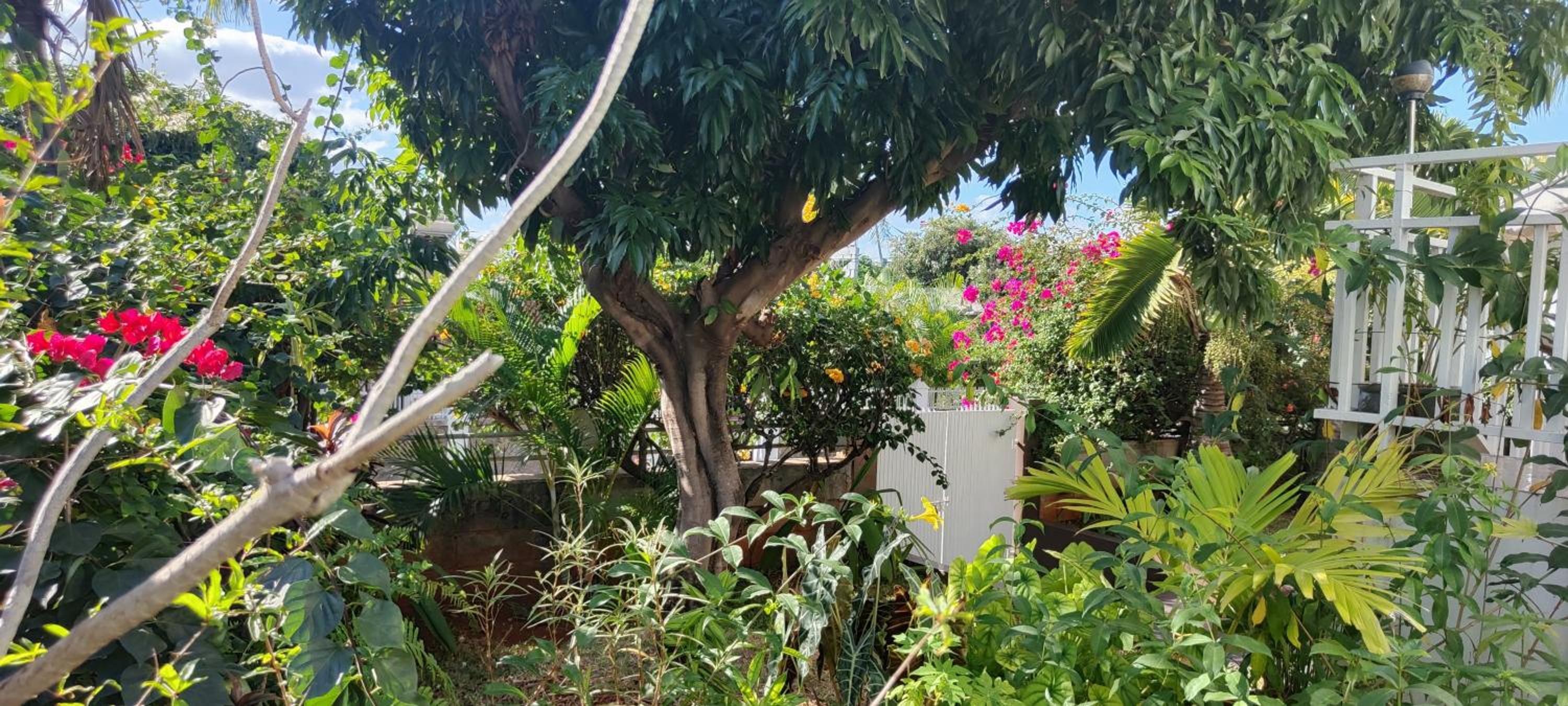 R GARDEN Pointe Aux Sables