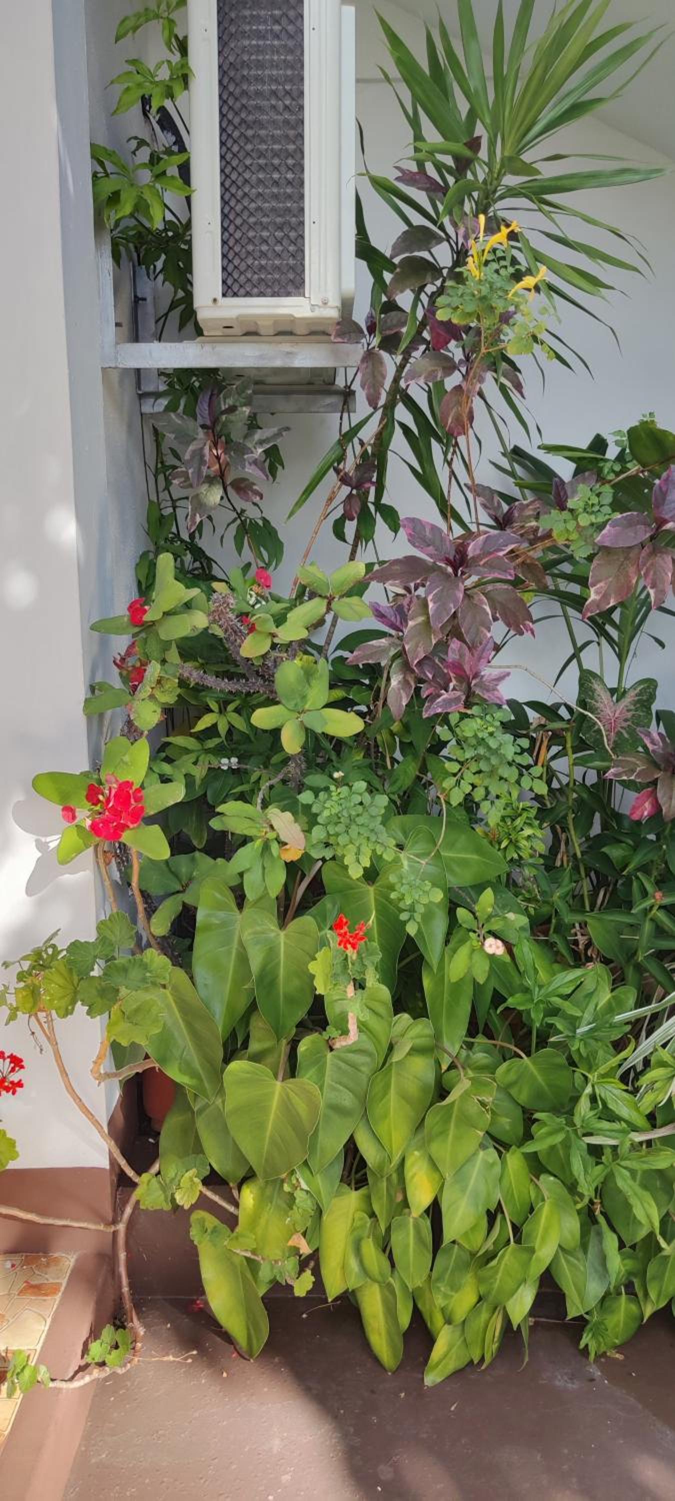R GARDEN Pointe Aux Sables