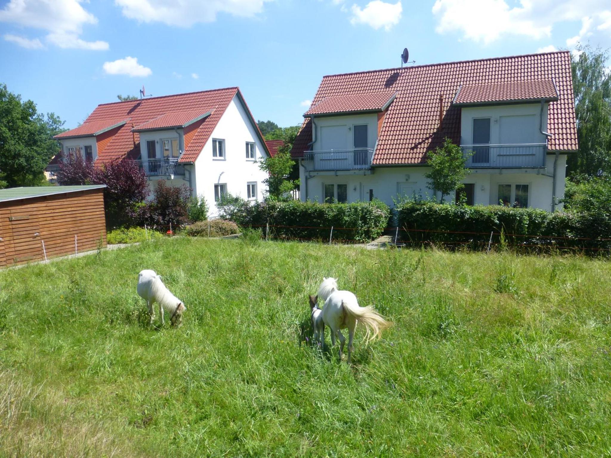 Alter Schulgarten