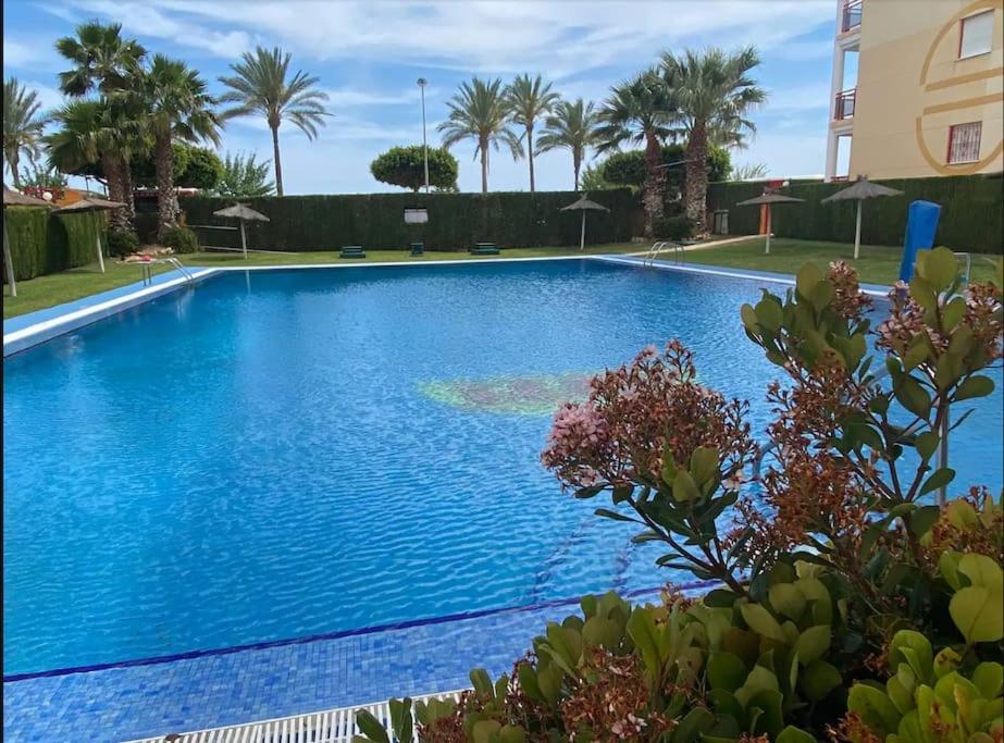 appartement en bord de mer