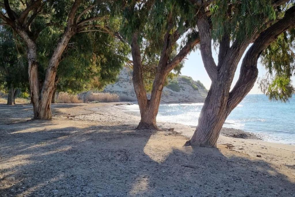 appartement en bord de mer