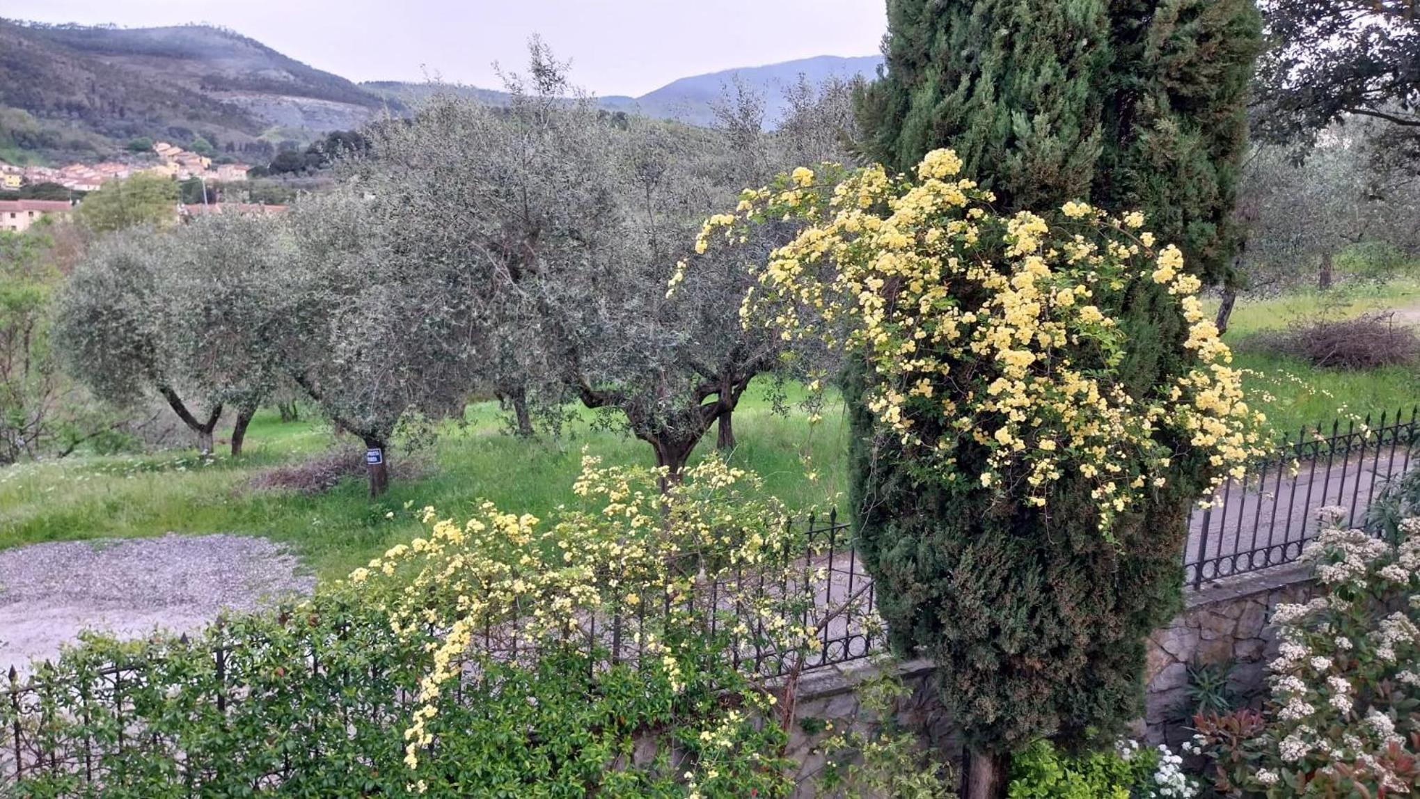Villa Salviati