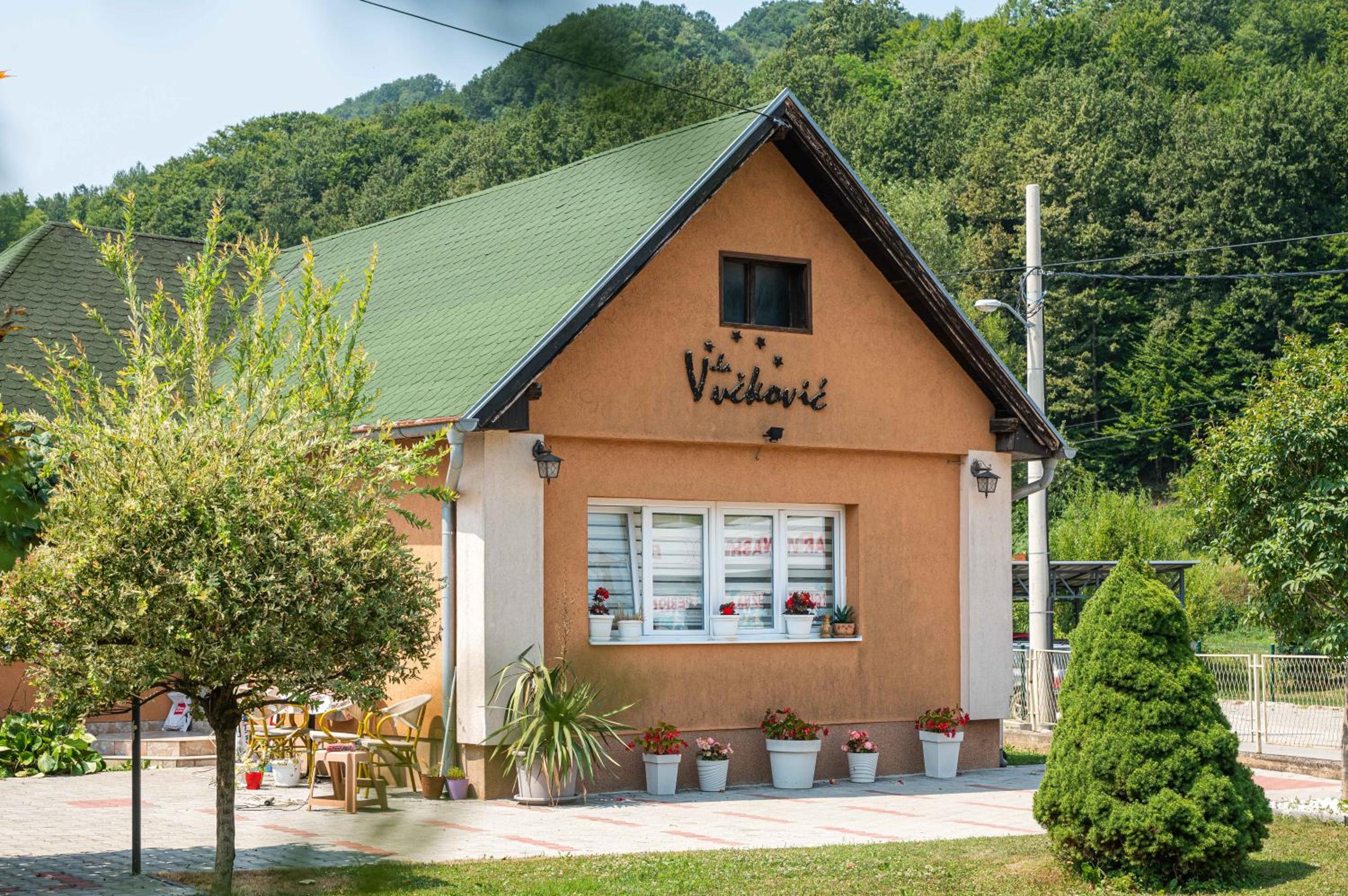 Vila Vučković view 3