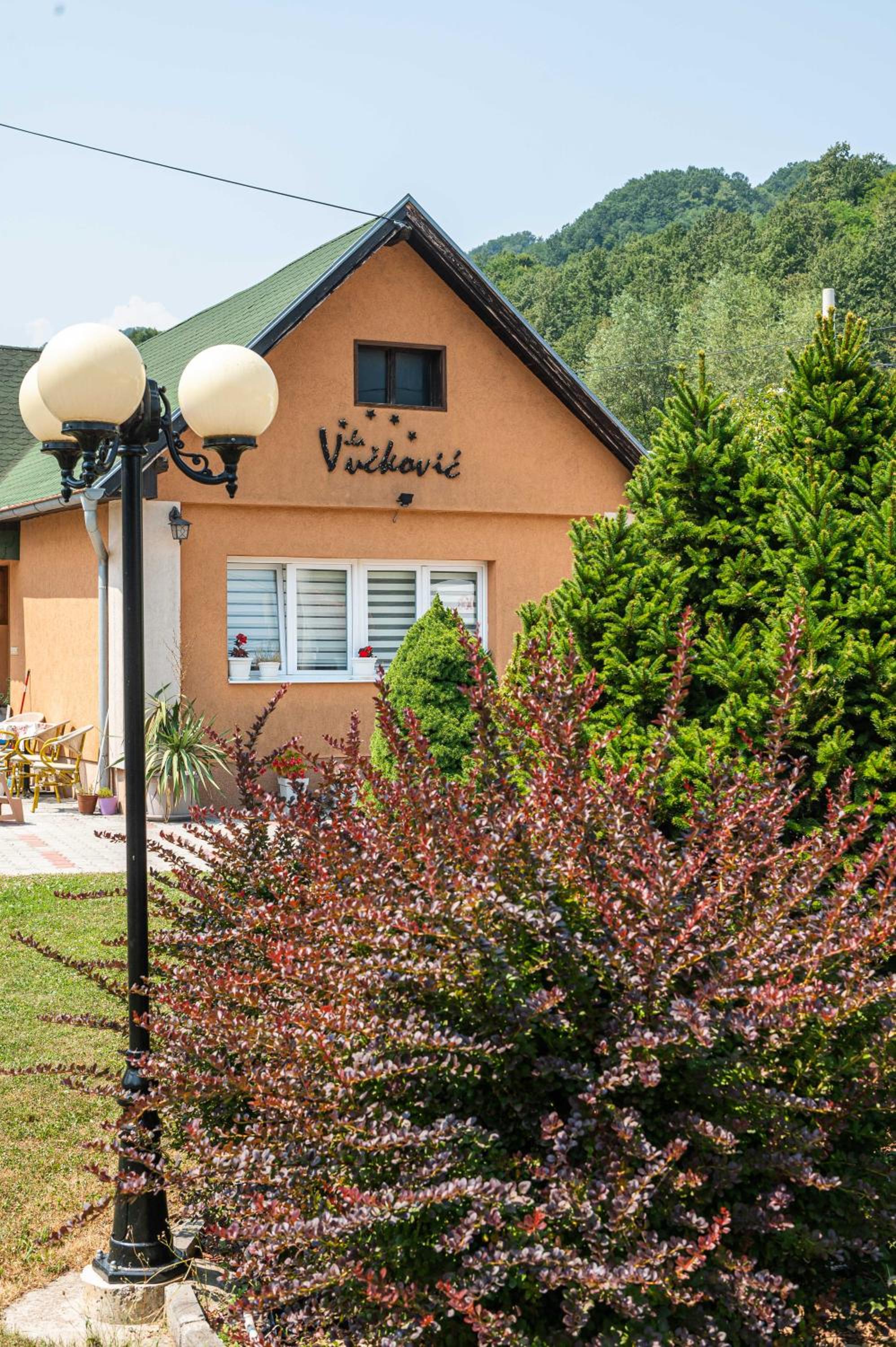 Vila Vučković view 4