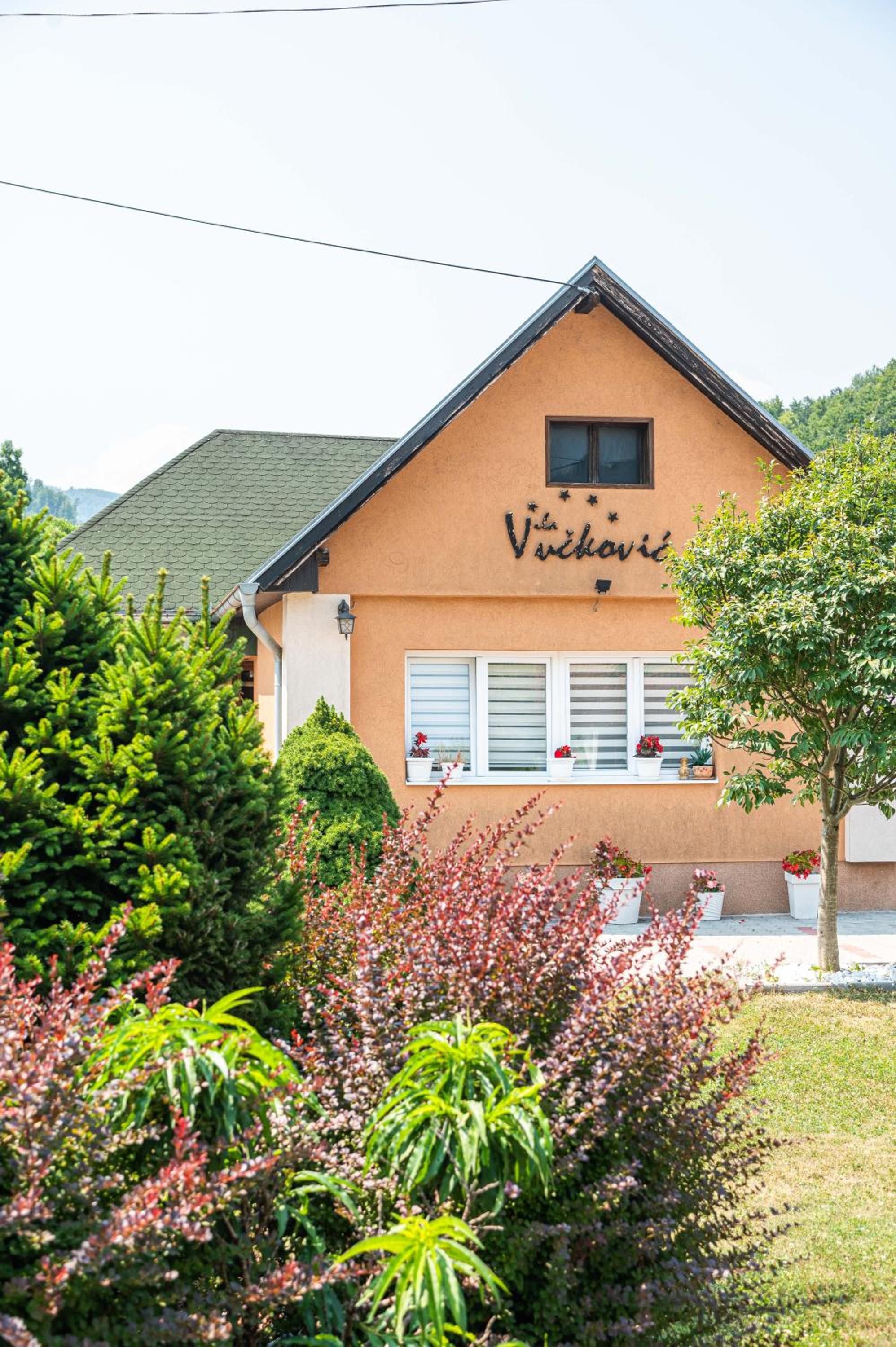 Vila Vučković view 5