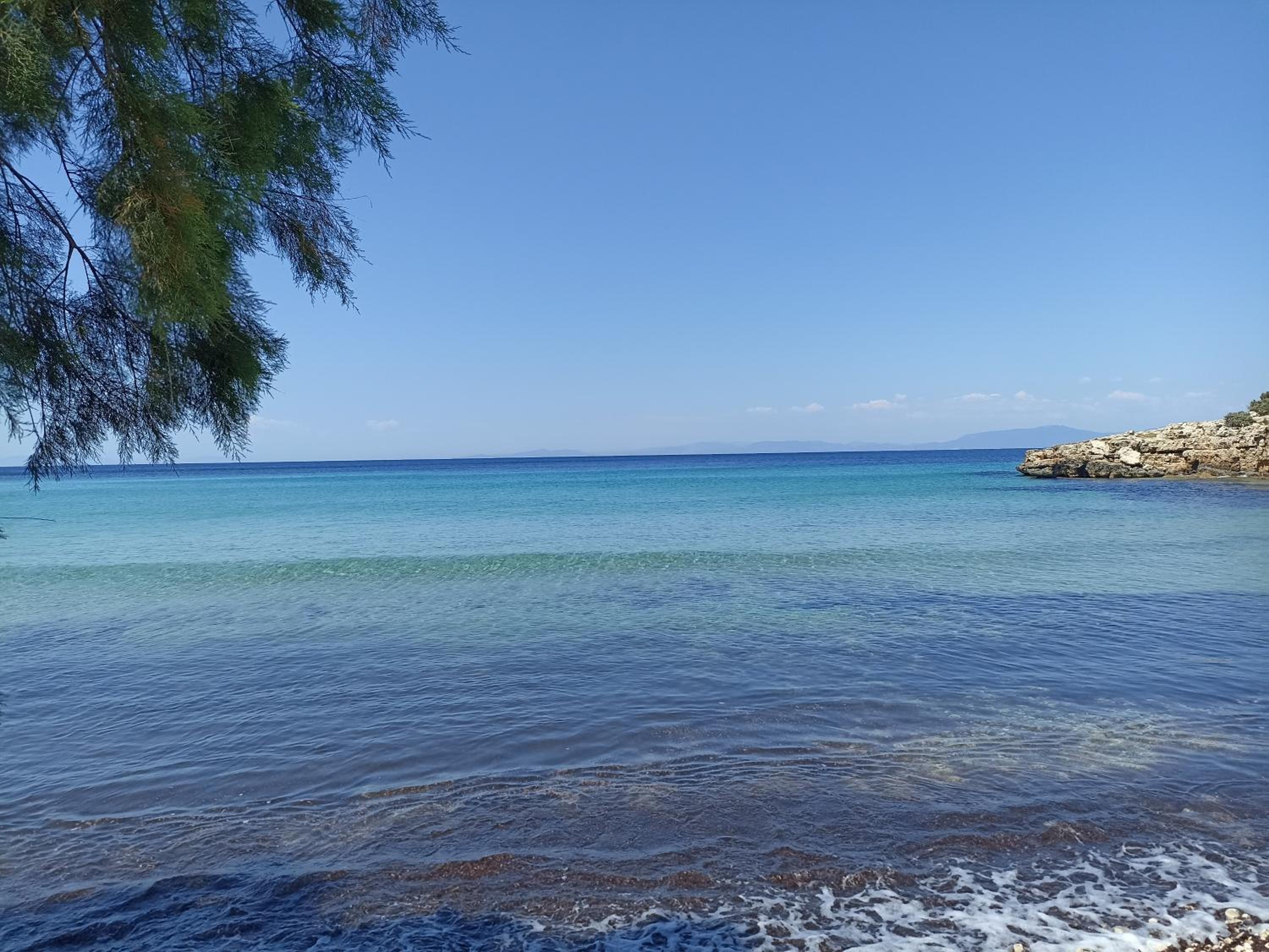Agria Rigani Studios