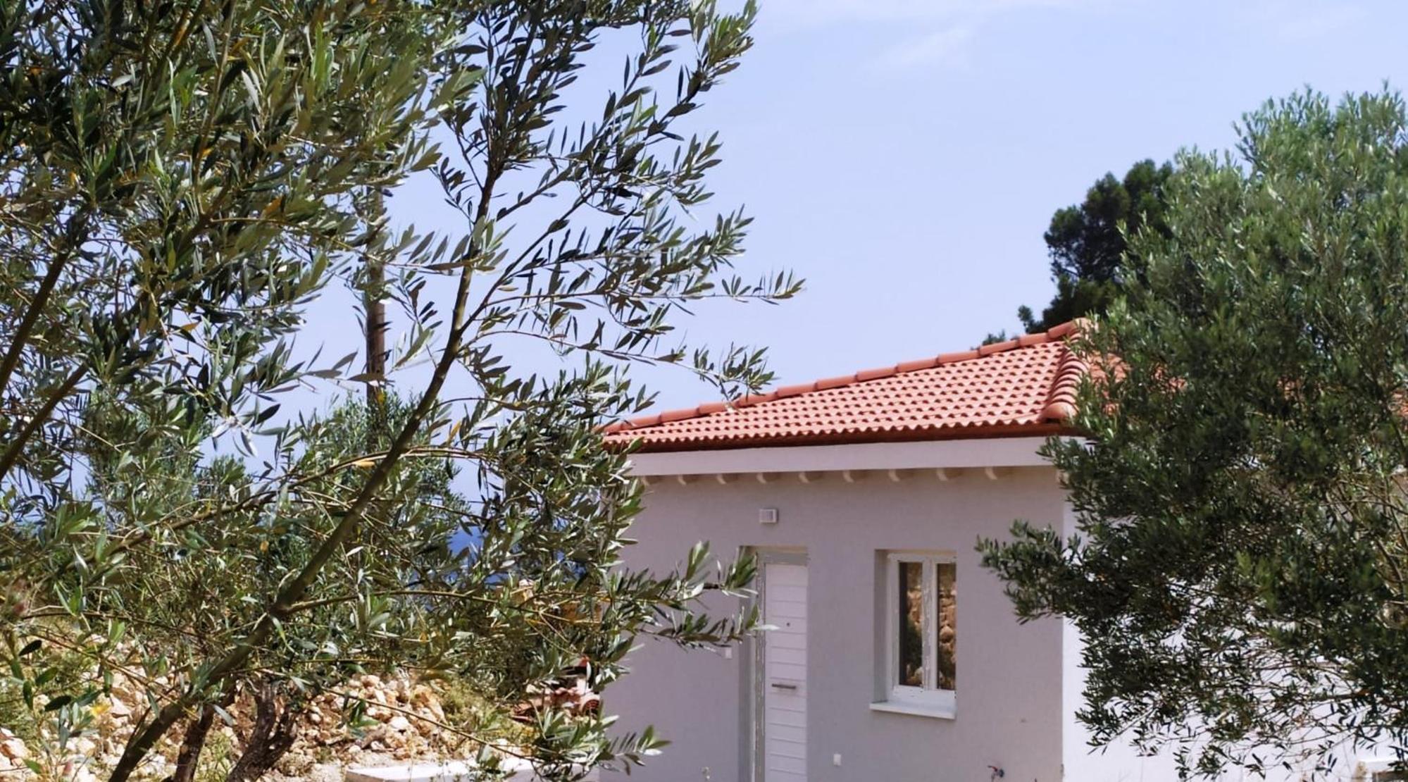 Agria Rigani Studios