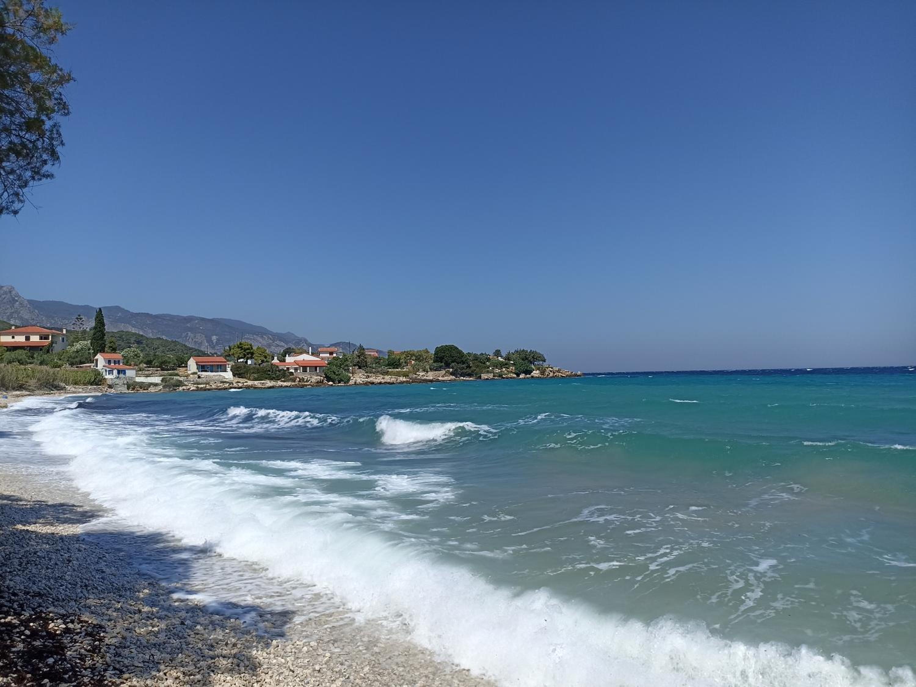Agria Rigani Studios