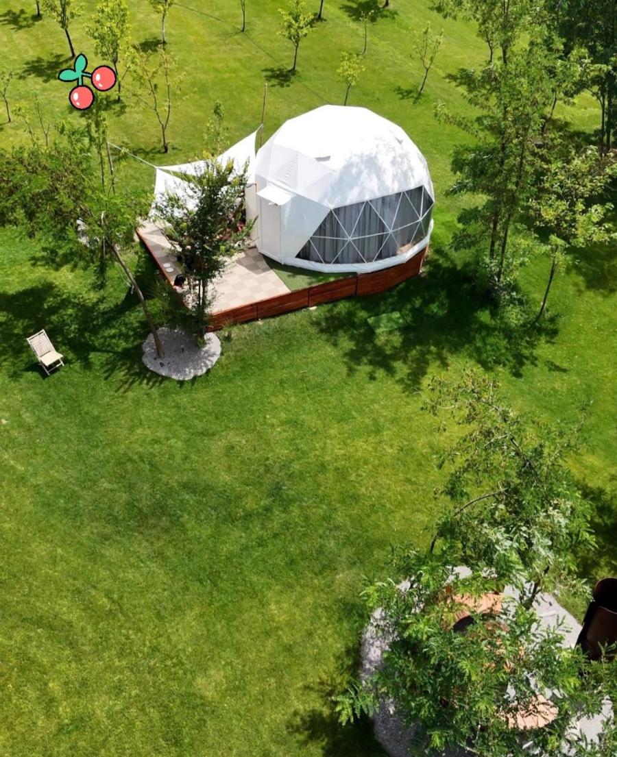 Glamping Beograd