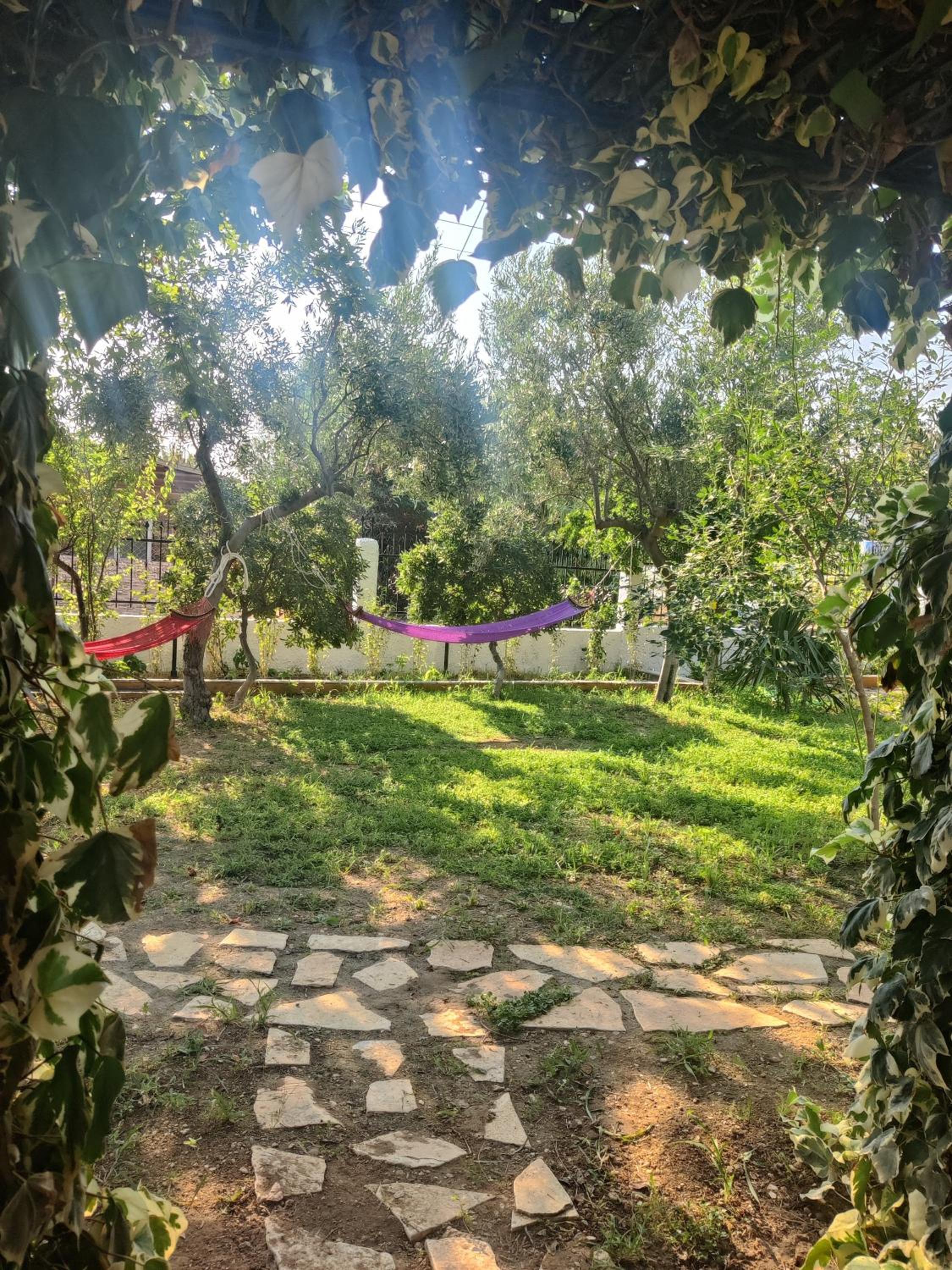 Photo 18