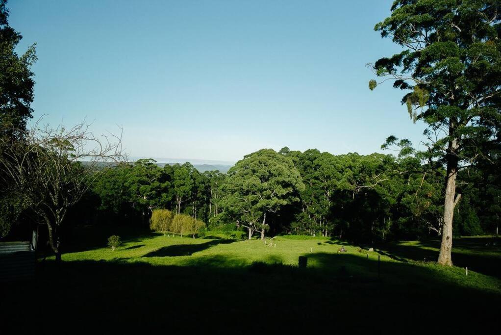 Budgong Lodge - Kangaroo Valley