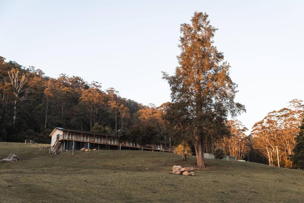 Budgong Lodge - Kangaroo Valley