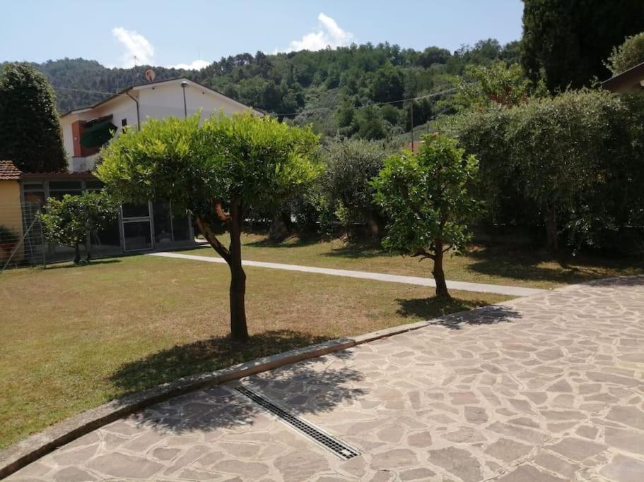 Photo 14