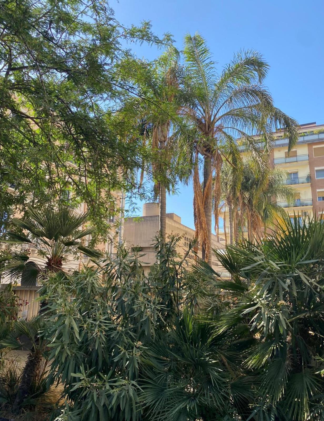 Maison Ruggero view 5