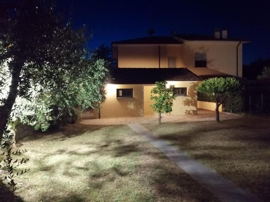 Photo 17