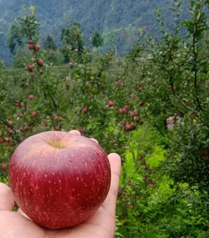 Royal Prashar Lake HomeStay view 2