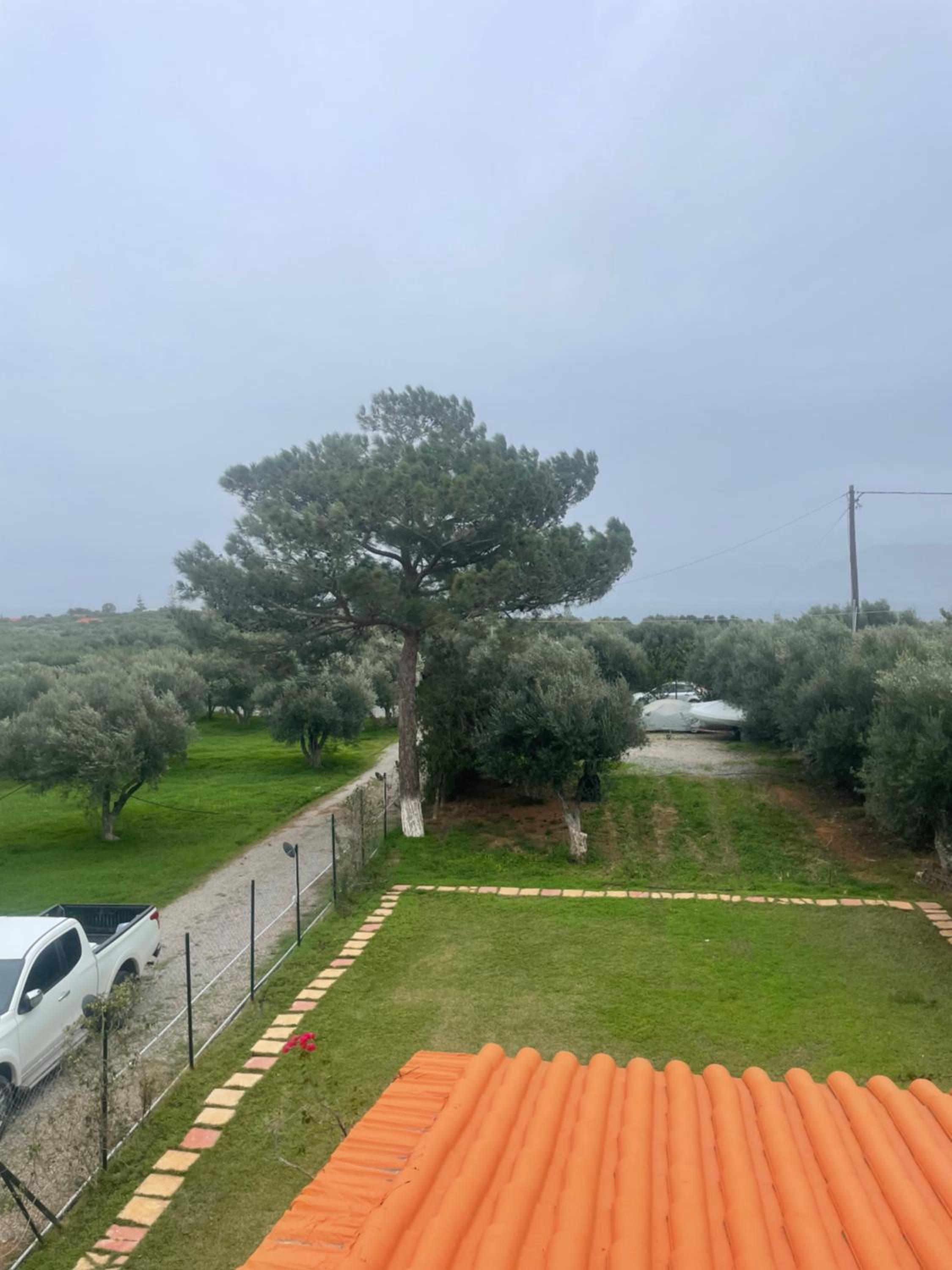 Zorbas Suites