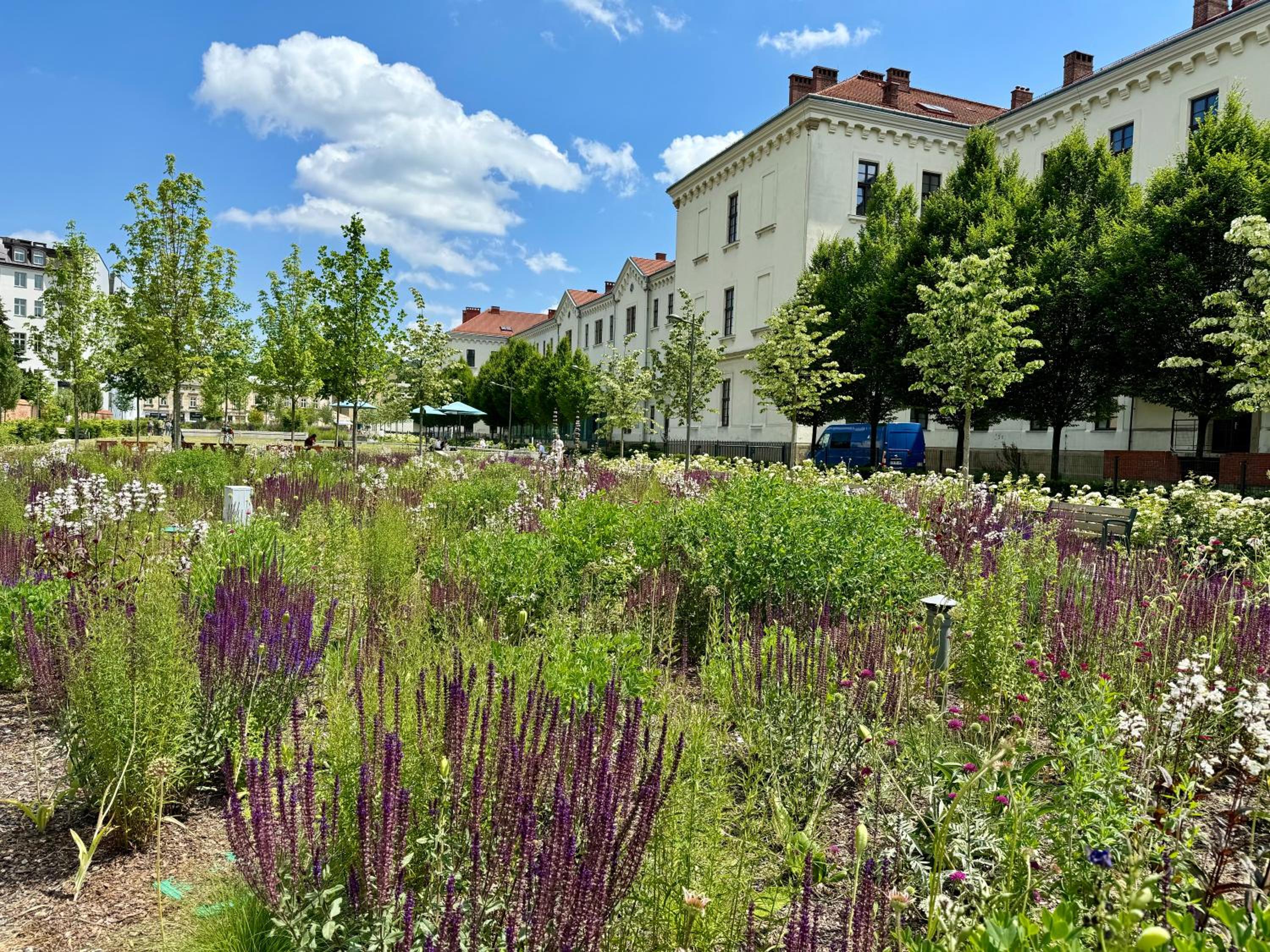 Old Town - Rajska Signature Suites by Gio Loft