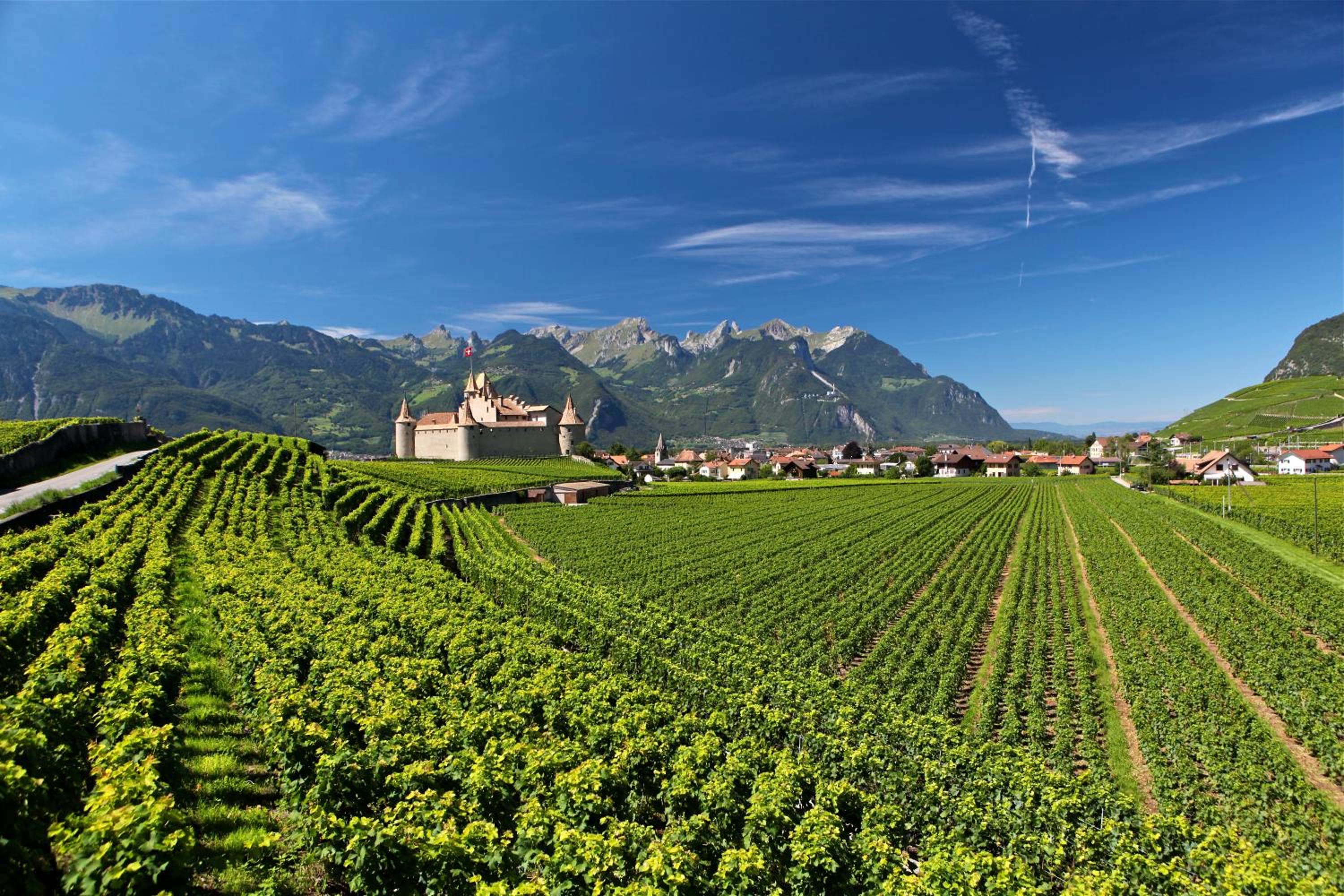 Camping de la Piscine