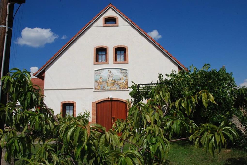 Vinohrad Olbramovice - Apartmán