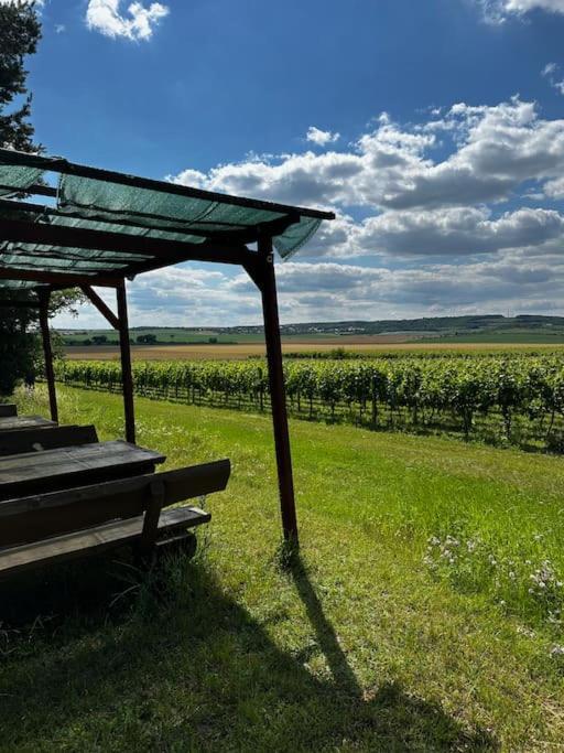 Vinohrad Olbramovice - Apartmán