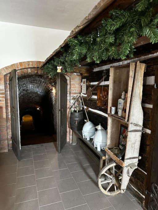 Vinohrad Olbramovice - Apartmán