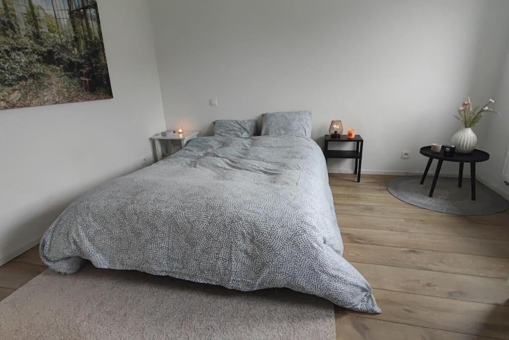 Suite parentale au calme - coeur de Liège