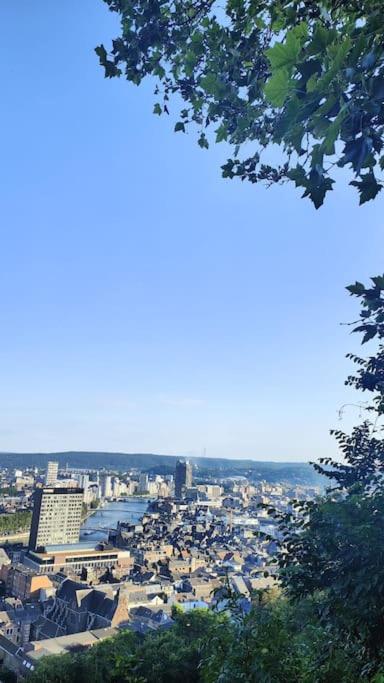 Suite parentale au calme - coeur de Liège