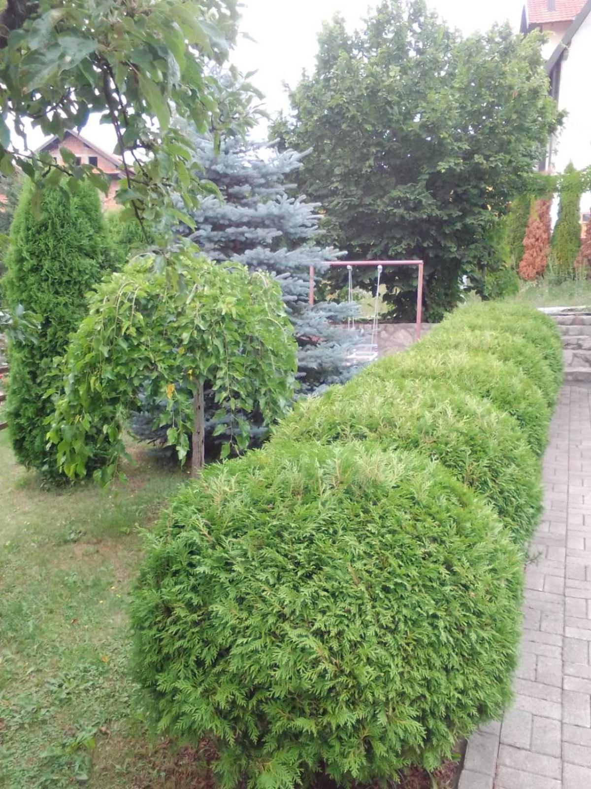 Privatni Smeštaj Tešević view 4