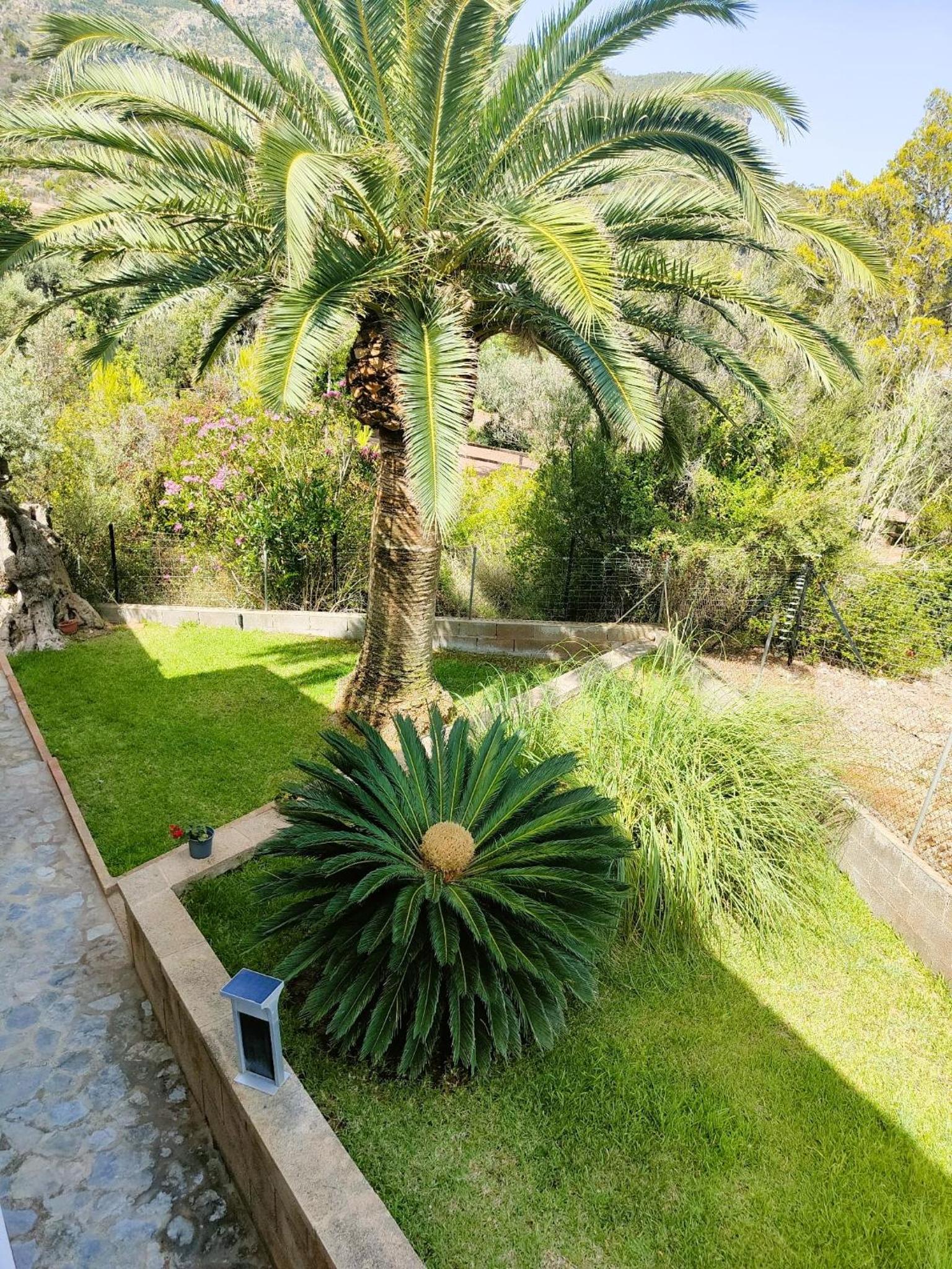 Villa Capllonch