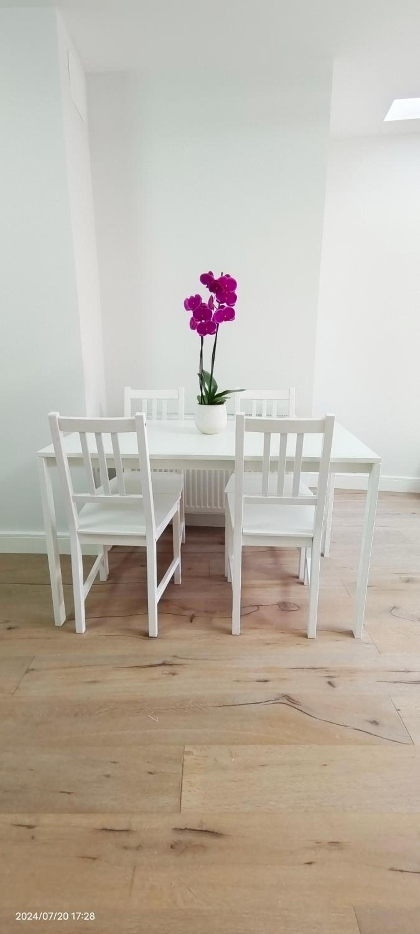 Spacious 2B2B Apartment with Garden
