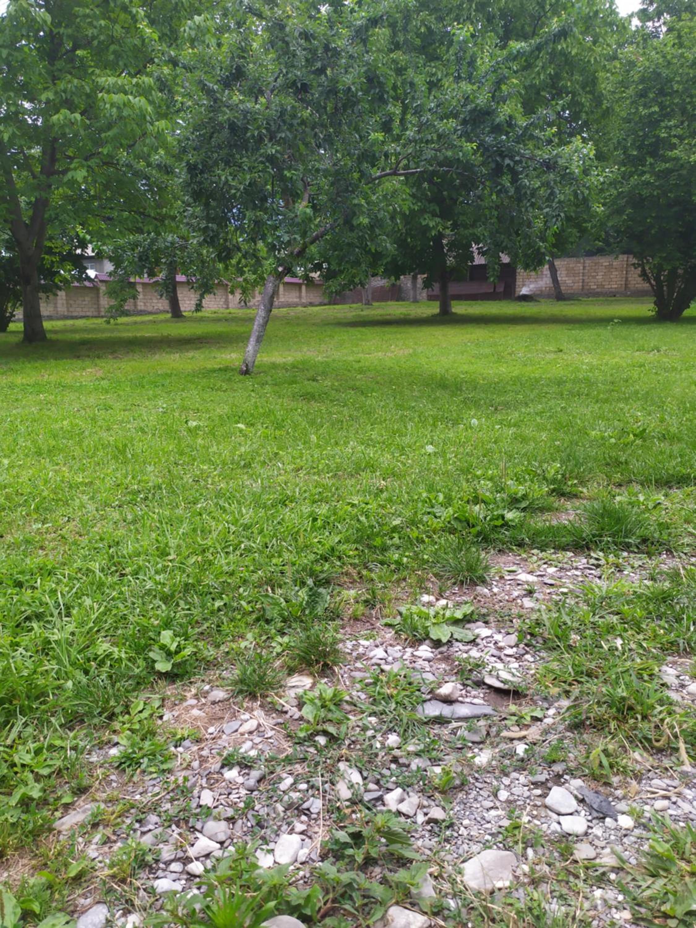 HOUSE WITH A LARGE YARD