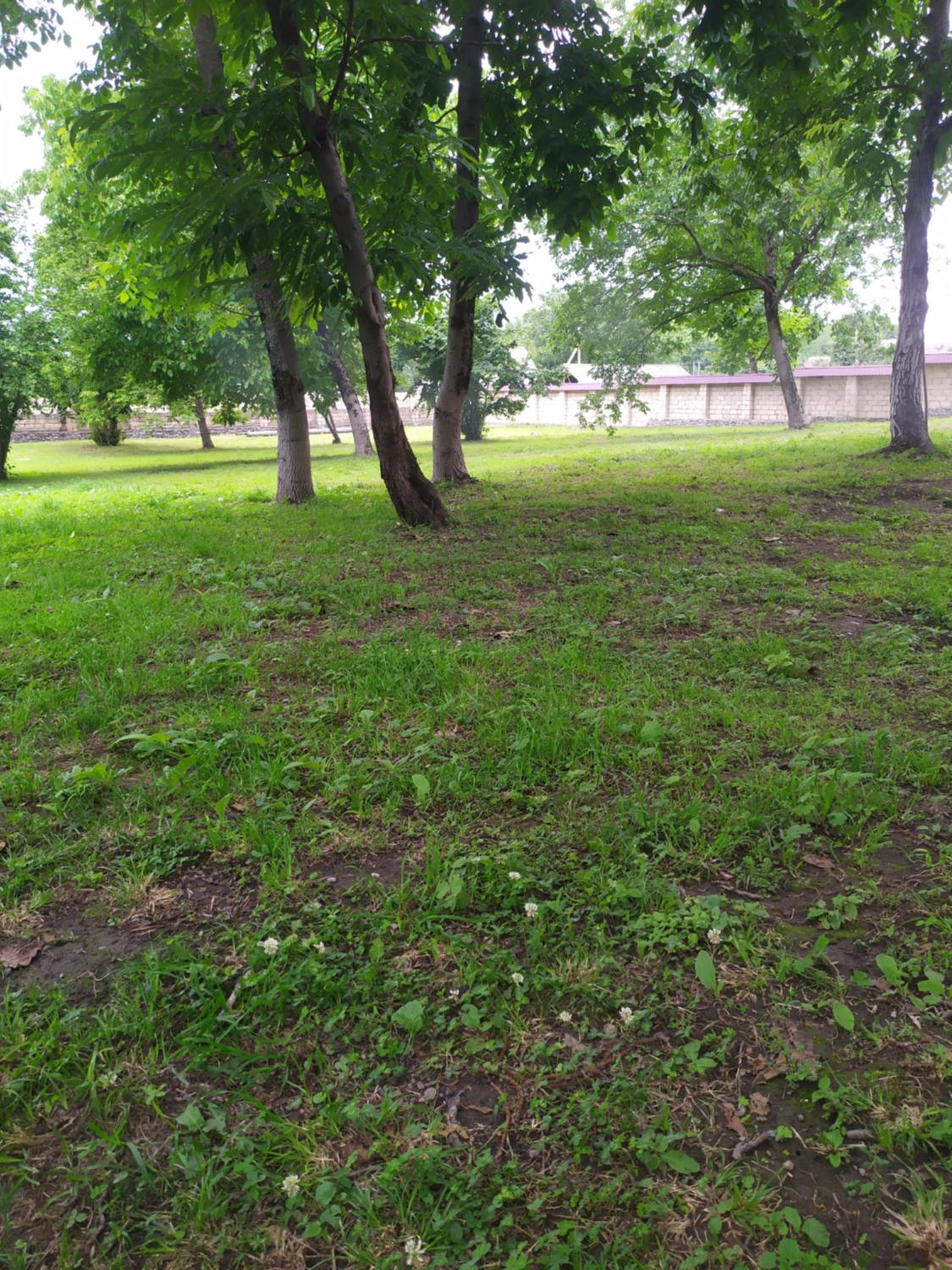 HOUSE WITH A LARGE YARD