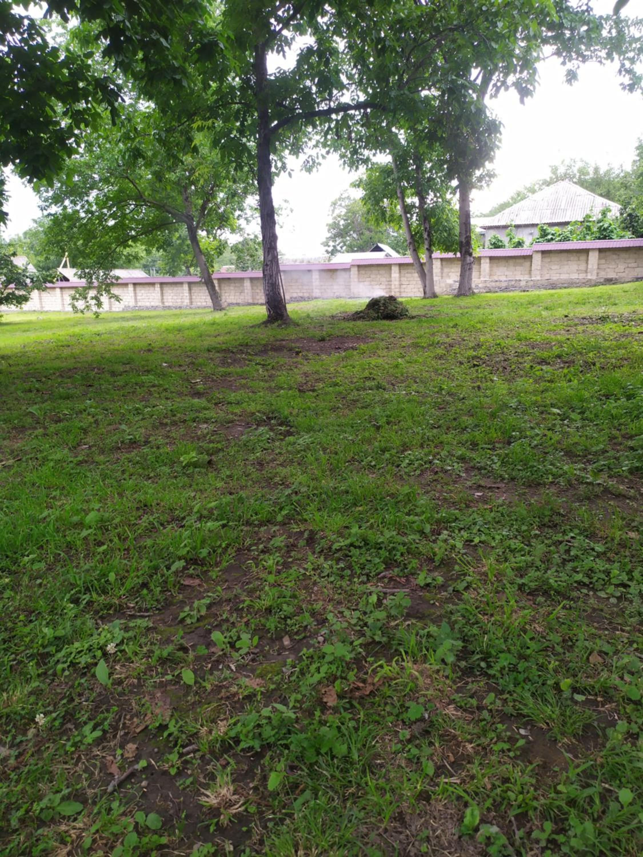 HOUSE WITH A LARGE YARD