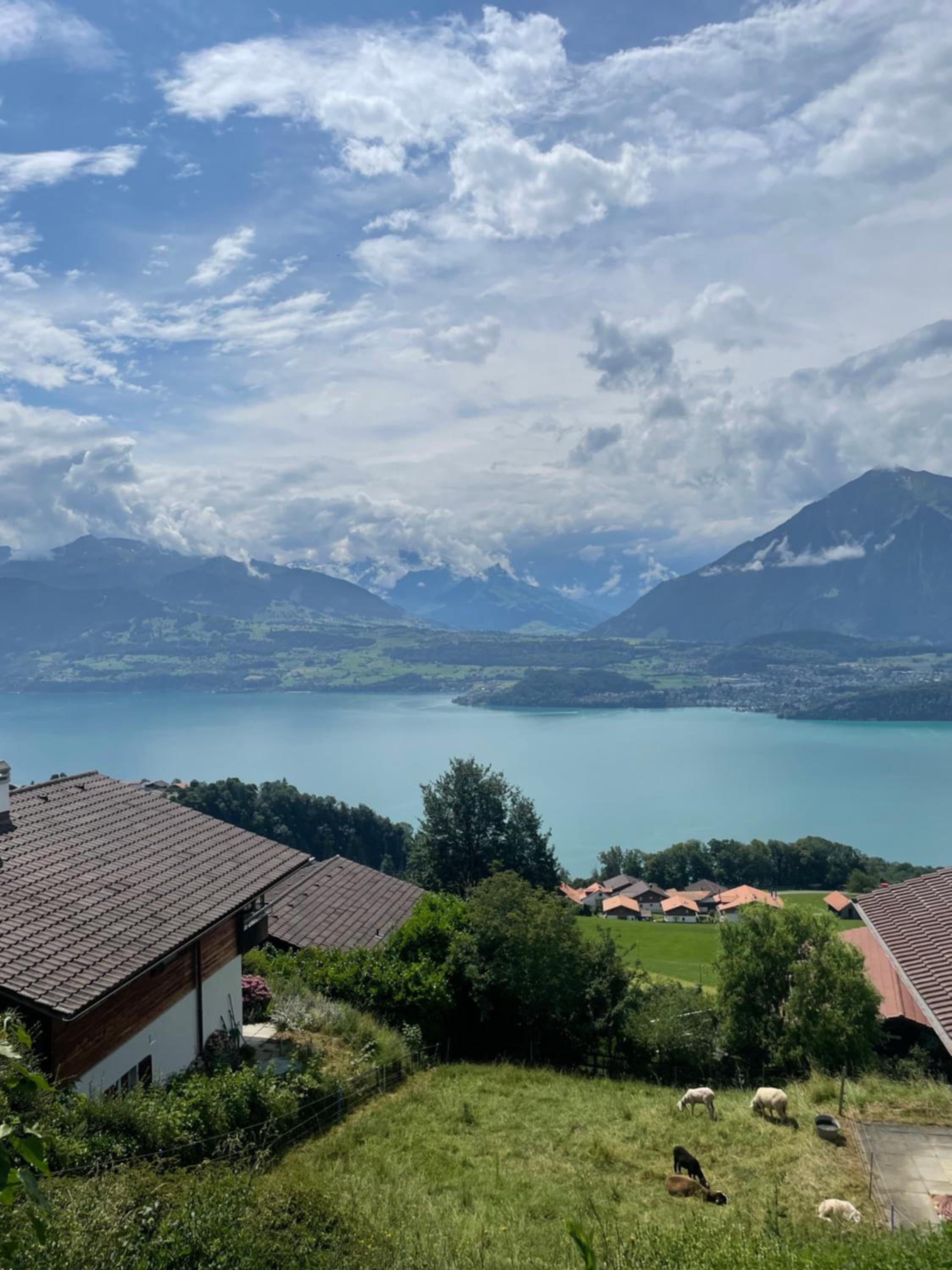 Seeblick