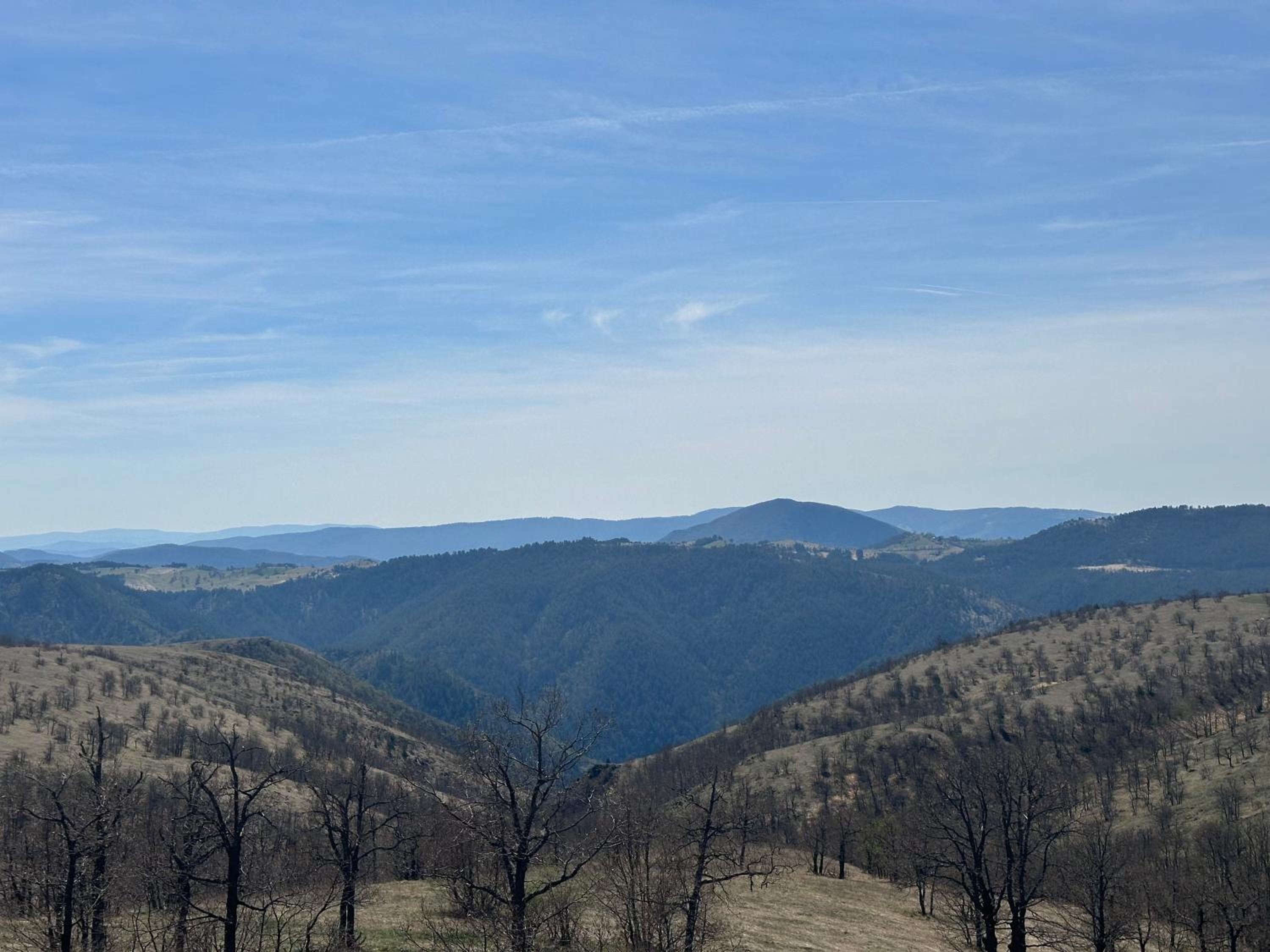Zlatibor Apartman 19 view 3