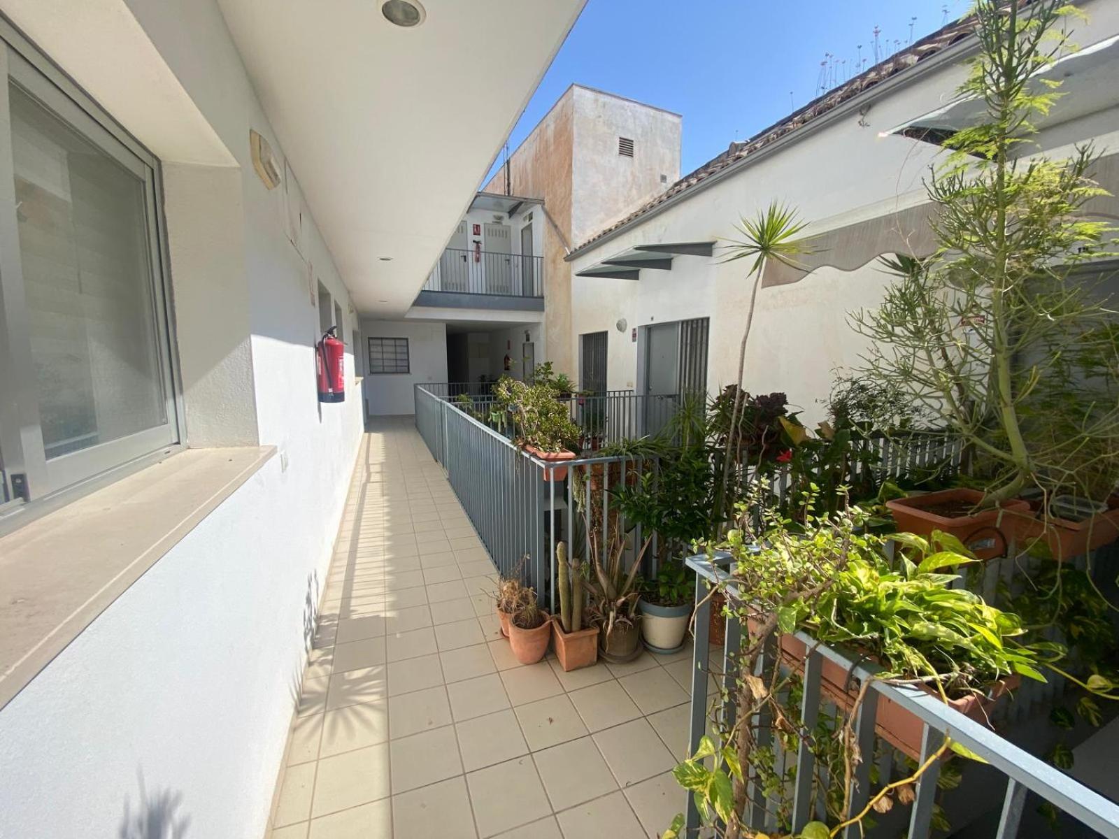 Attractive Apartment in Malaga City Center
