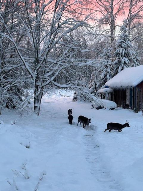Plogstorp