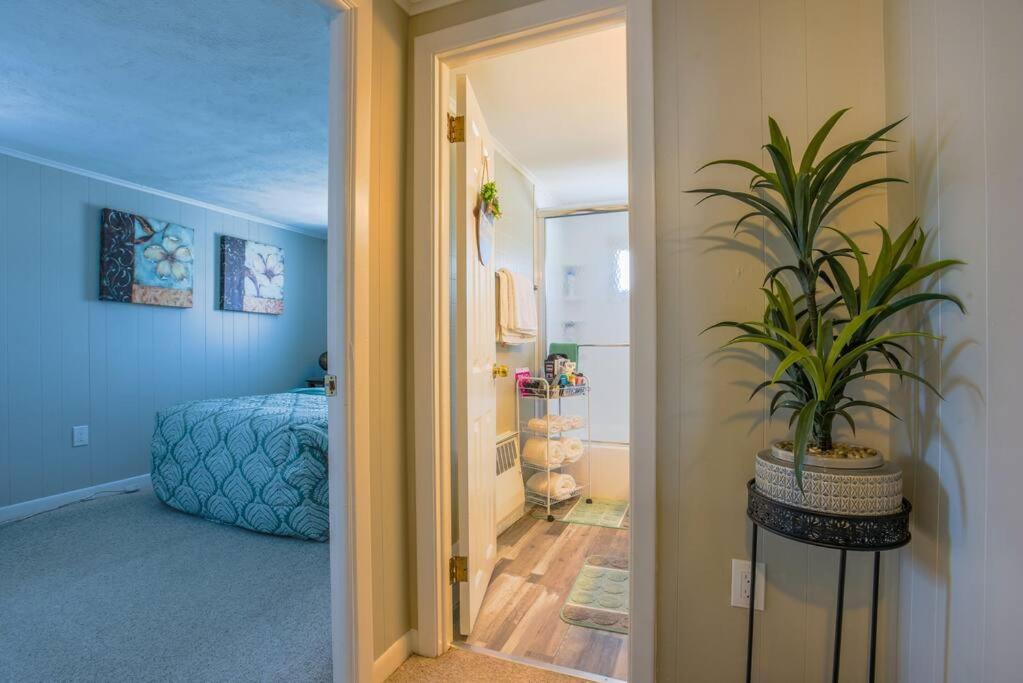 New cozy coastal retreat!