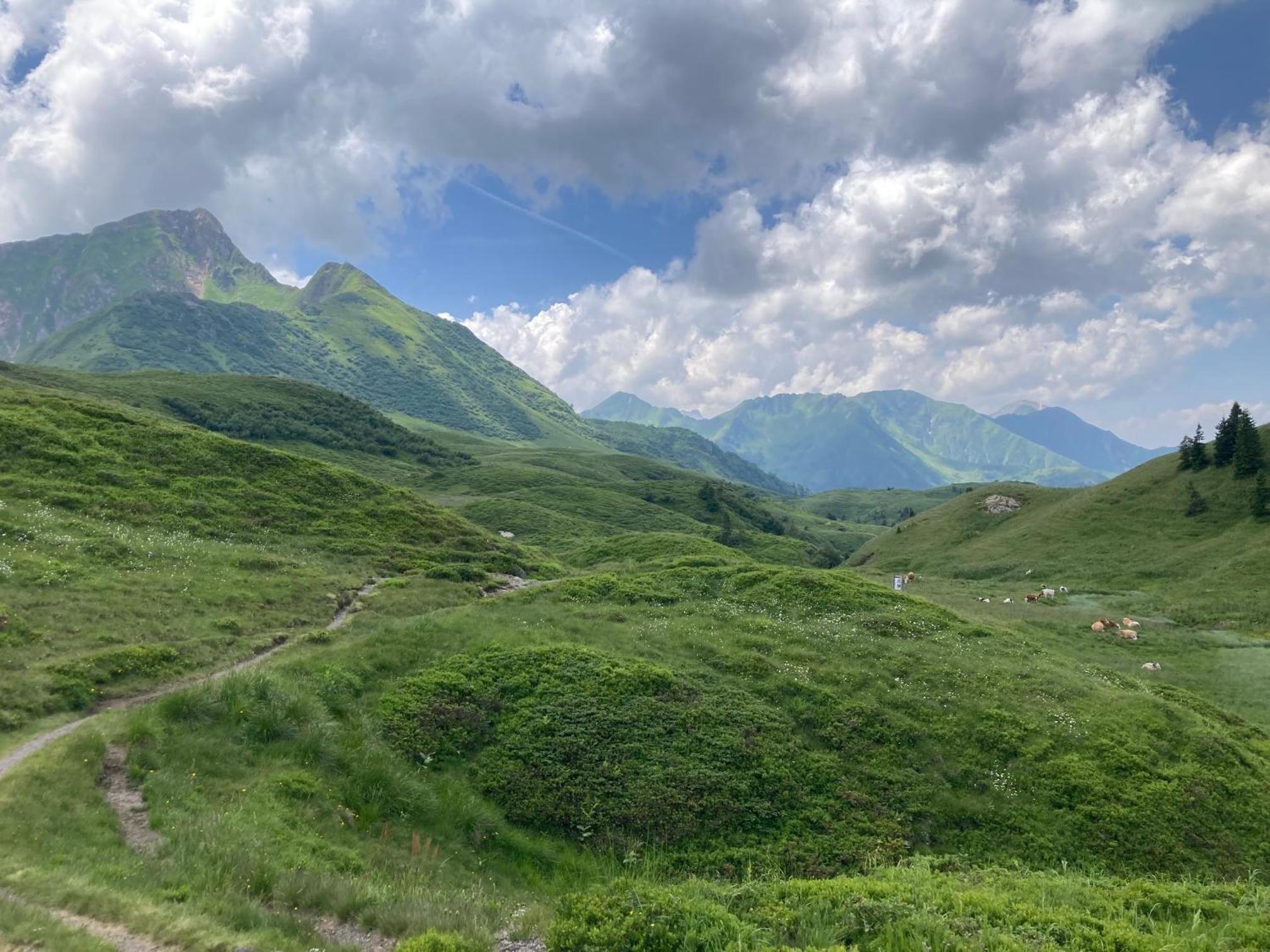 B-Lodge Kärnten