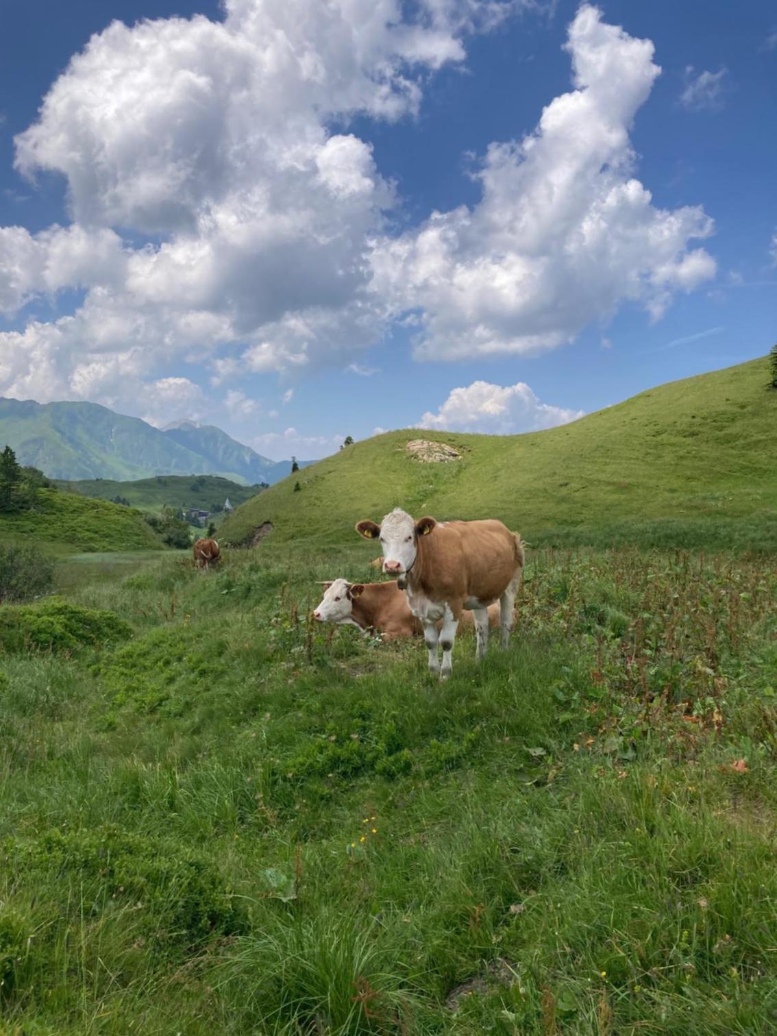 B-Lodge Kärnten