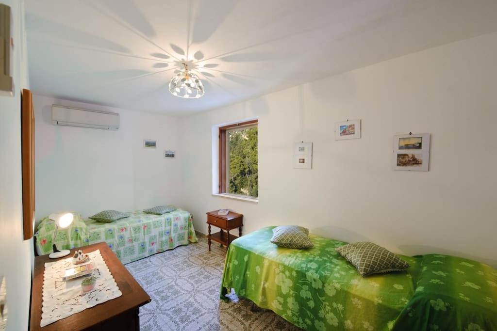 Casa Limoncello photo 4