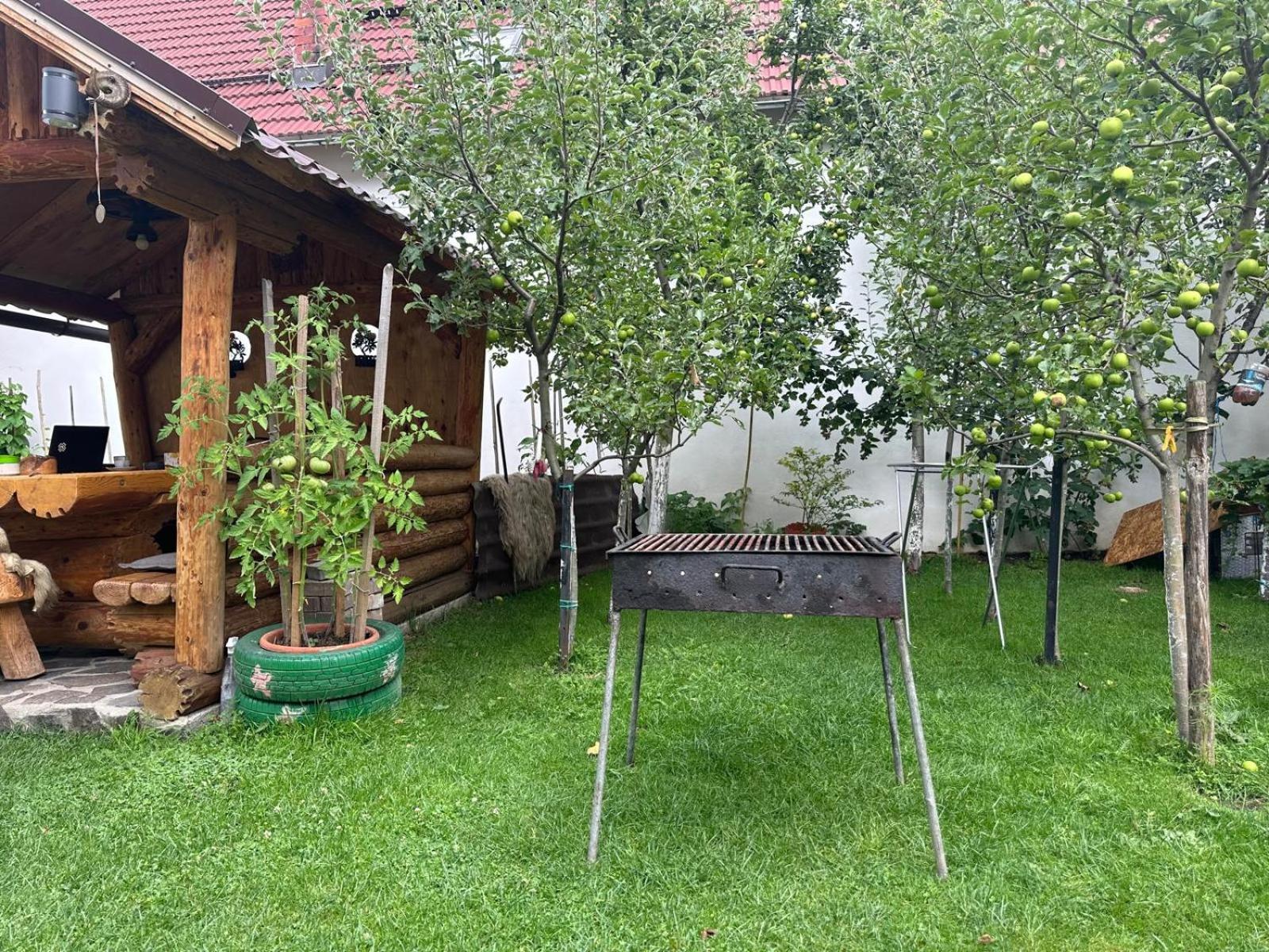 Photo 8