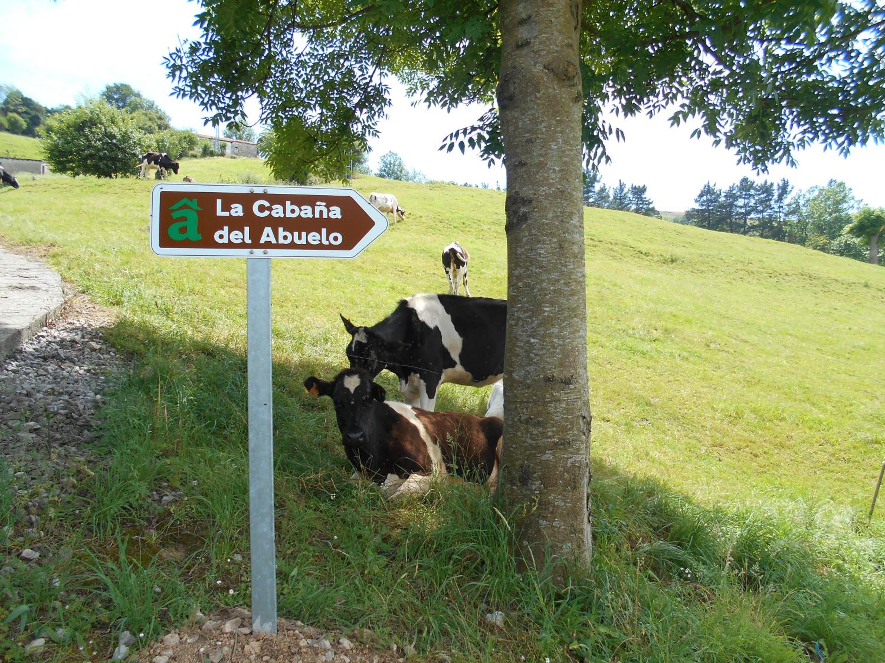 La Cabaña del Abuelo de Selaya