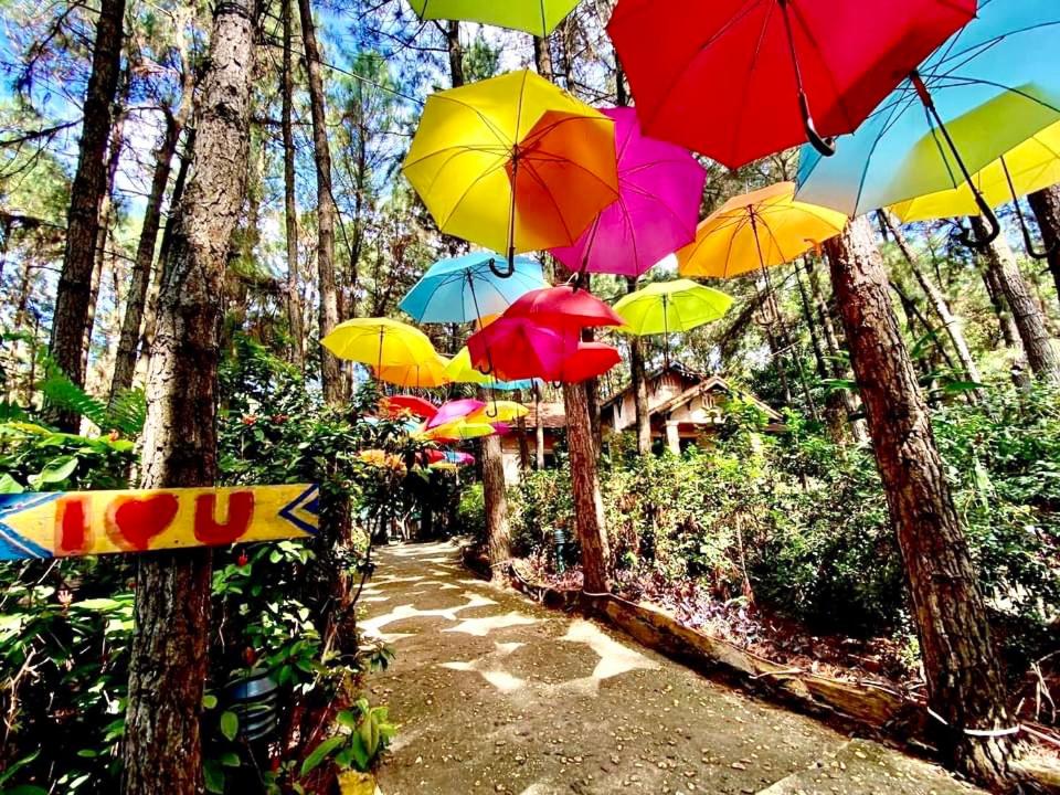 Pine Hill Villas & Camping