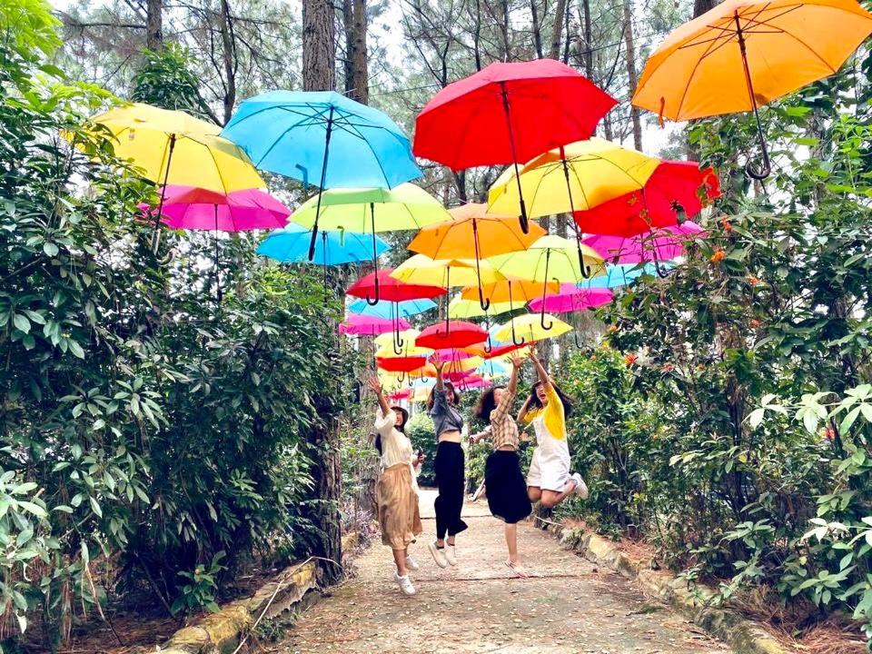 Pine Hill Villas & Camping