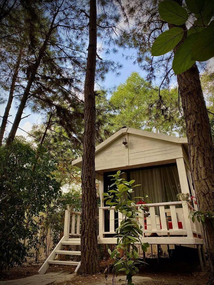 Pine Hill Villas & Camping