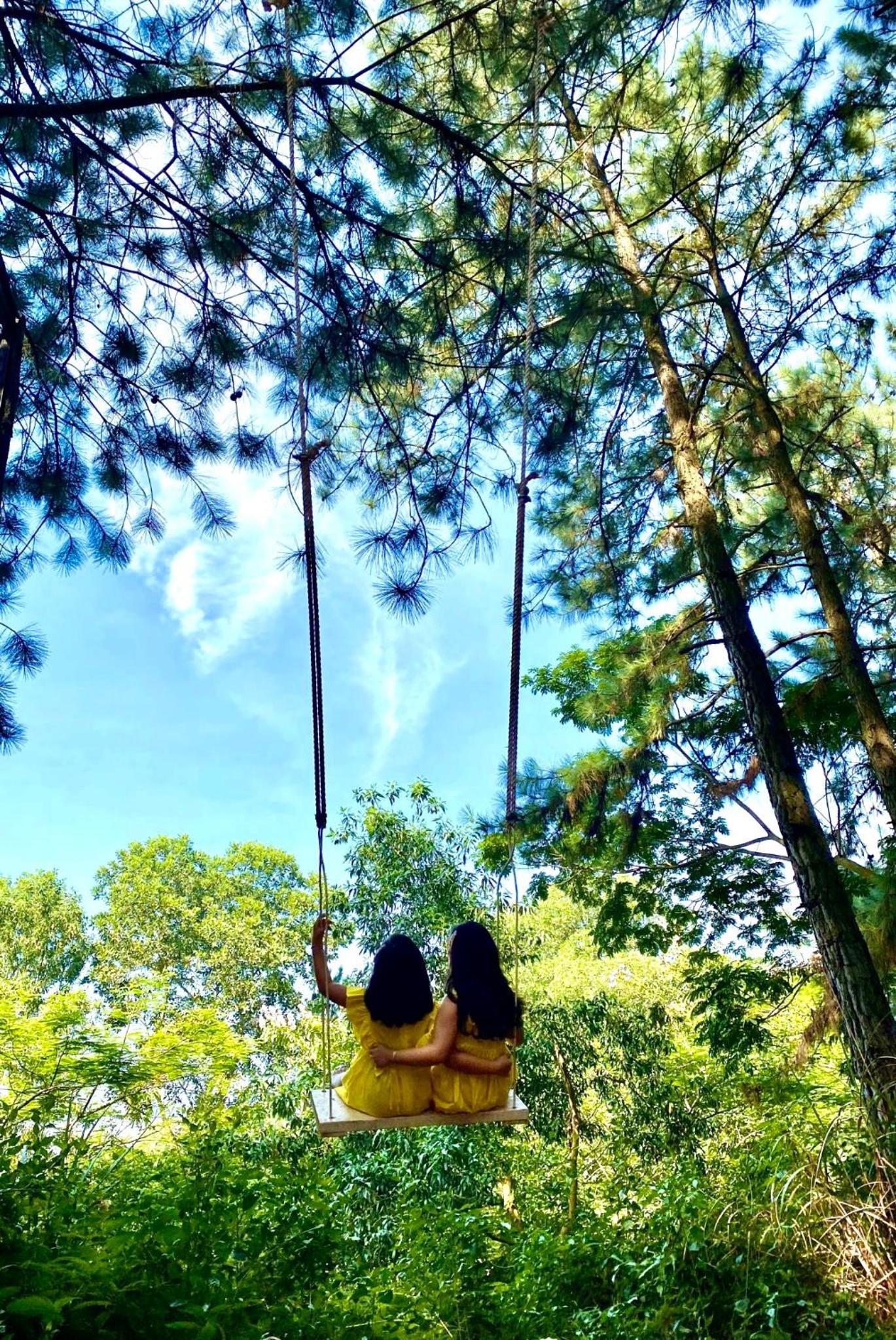 Pine Hill Villas & Camping