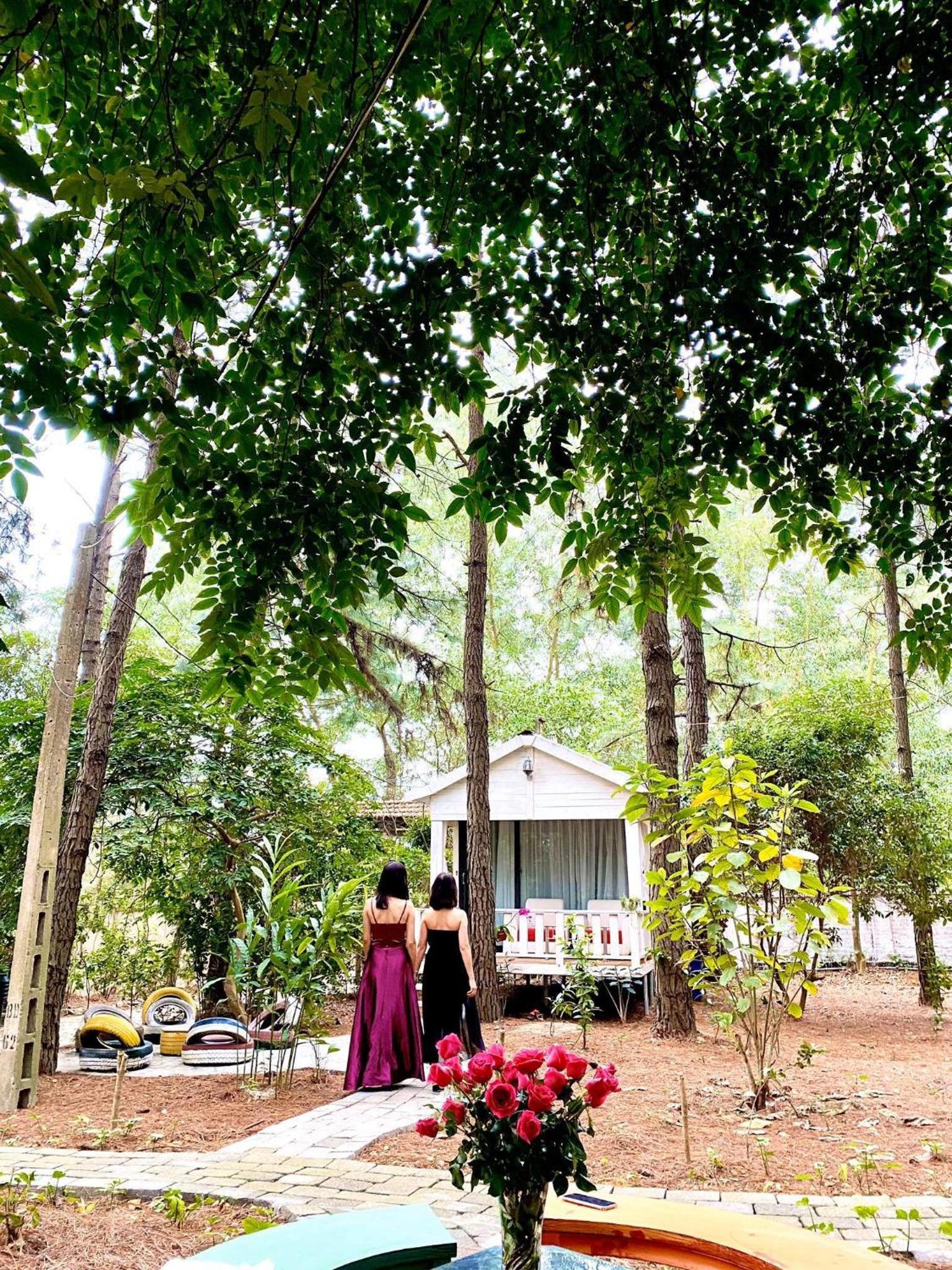 Pine Hill Villas & Camping