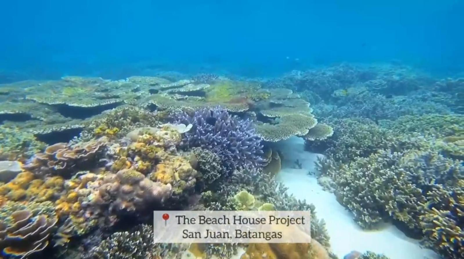 Exclusive Whole Resort Booking only Beachfront with Pool San Juan Batangas